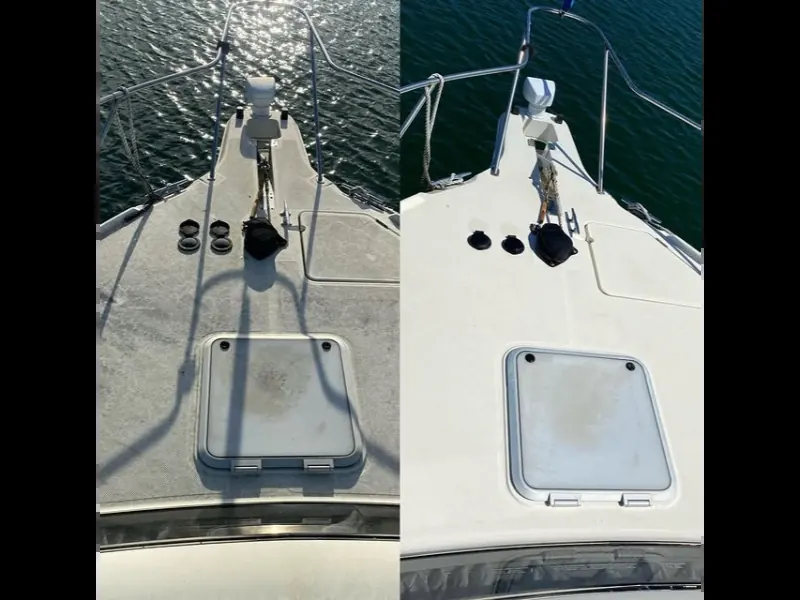 Tropical Maintenance